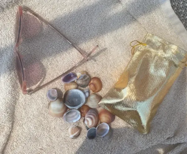 Collecting Shells, Collecting Moments